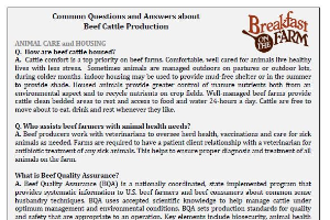 Common Questions and Answers about Beef Cattle Production
