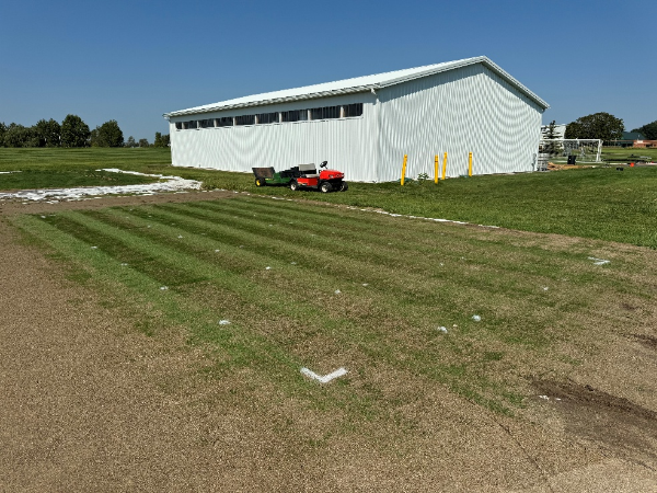 A sandy area with thin turf grown in with sporadic paint dashes. A orange cart sits in the near background in front of a large white barn.