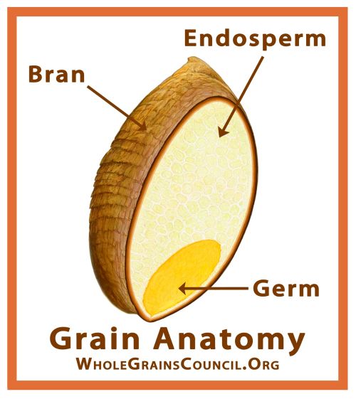Graphic Courtesy Oldways and the Whole Grains Council
