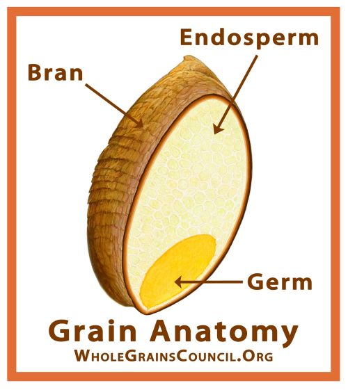 Grains-General Info 80