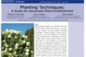 Planting Techniques: A Guide for Successful Plant Establishment (E3111)