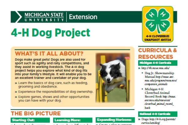 michigan-4-h-cloverbud-snapshot-sheet-4-h-dog-project-4h1724-msu