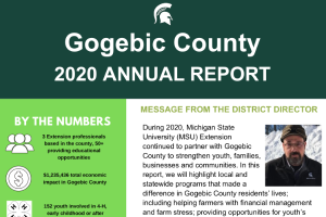 Gogebic County 2020 Annual Report