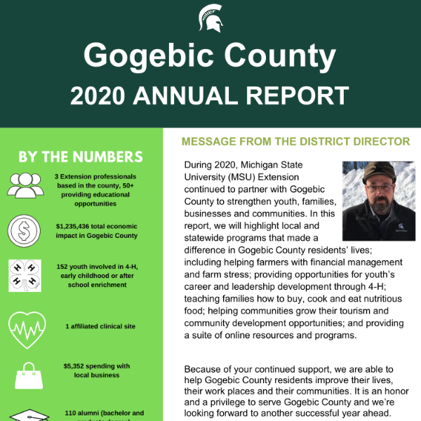 Cover of Gogebic County Annual Report