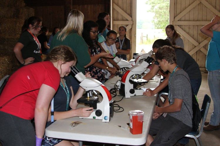 Youth use microscopes to analyze samples during the 2016 4-H Animal and Veterinary Science Camp.  Photo: Julie Thelen, MSU Extension.