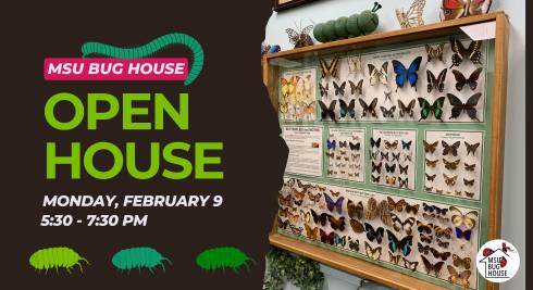 A display of butterfly specimens is shown on one side of the screen, while the other side is black with mostly green text reading 