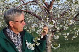 Jim Nugent, chair of the Tree Fruit Commission and a cherry grower from Suttons Bay, Michigan, said the partnership between the commission and MSU is essential in supporting applicable research and supplying information to fruit growers in the state.