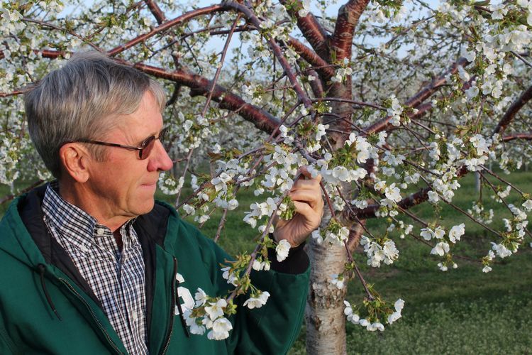 Jim Nugent, chair of the Tree Fruit Commission and a cherry grower from Suttons Bay, Michigan, said the partnership between the commission and MSU is essential in supporting applicable research and supplying information to fruit growers in the state.