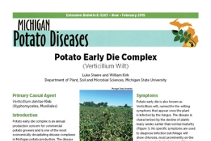 Potato Early Die Complex (E3207)