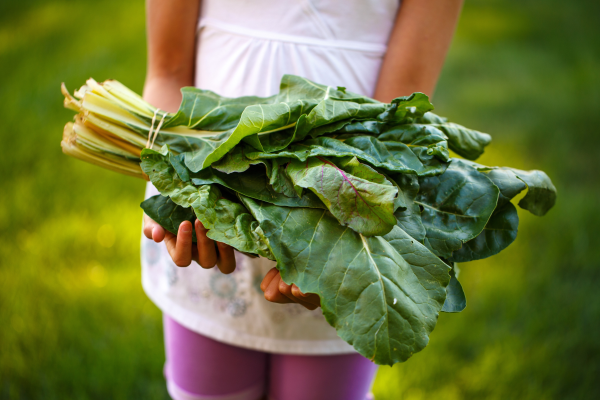 Young girl holding a bundle of swiss chard. Photo by Johnny McClung on Unsplash.