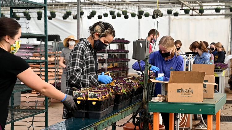 People working on products.