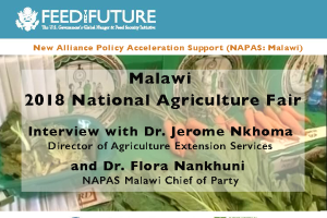 Malawi 2018 Agriculture Fair