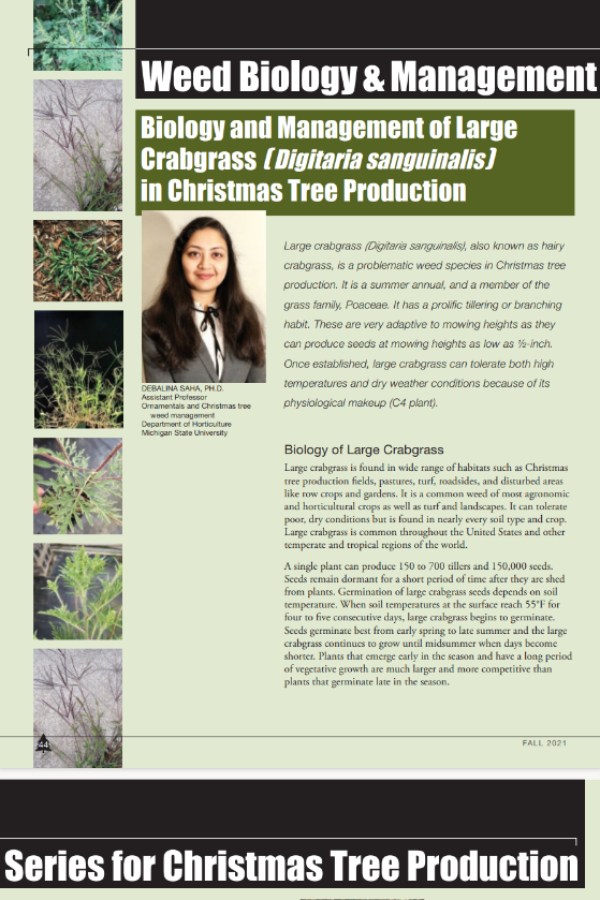Weed Biology Management Series for Christmas Tree Production