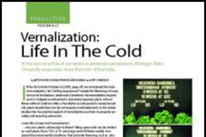 Vernalization: Life in the cold (Vernalization part 2)