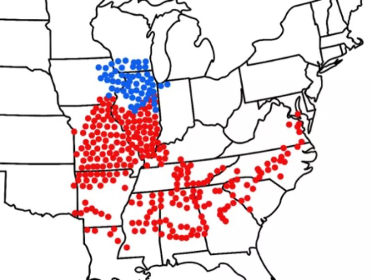 A map of the Midwest with red and blue dots indicating cicada emergence.