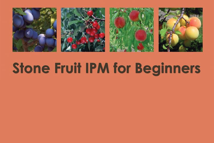 Stone fruit IPM for Beginners cover