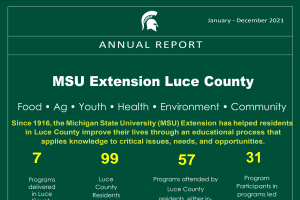 Luce County Annual Report: 2021