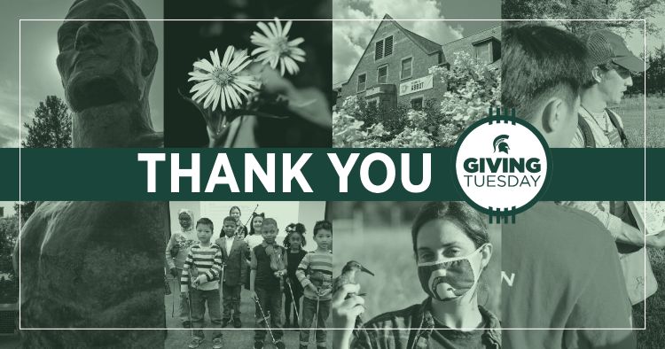 Giving Tuesday Thank you graphic of Sparty statue, flower, campus building and campus programs.
