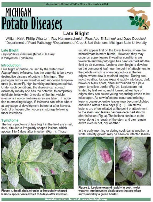 potato late blight fact sheet washington state university