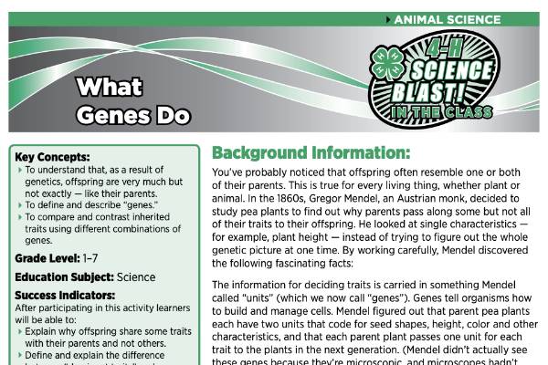 4-H Science Blast in the Class: What Genes Do - 4-H Science ...
