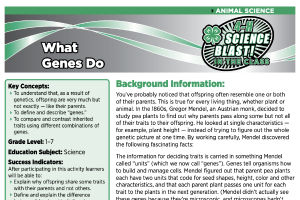 4-H Science Blast in the Class: What Genes Do
