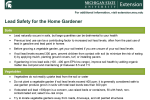 Lead Safety for the Home Gardener