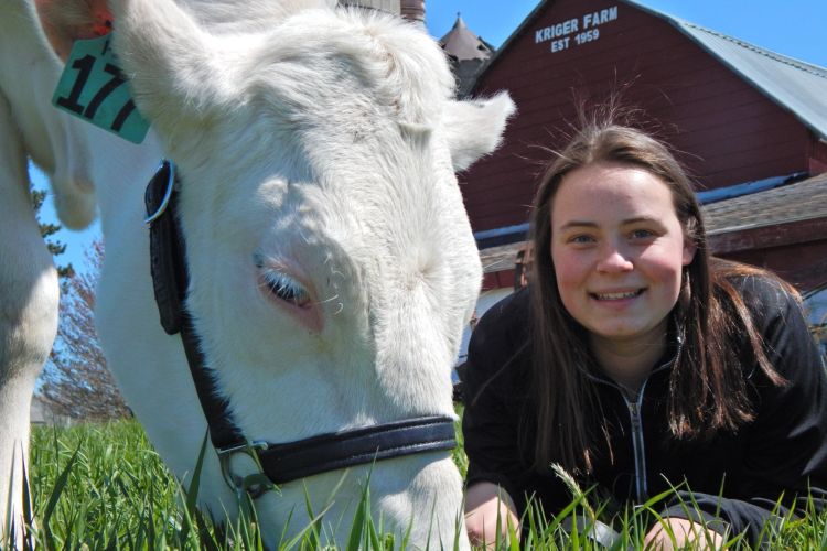 MSU agribusiness management student Lynn Olthof with cow on a farm.