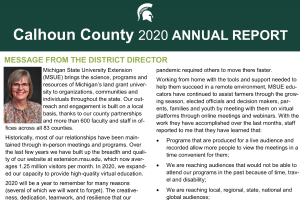 Calhoun County Annual Report 2020