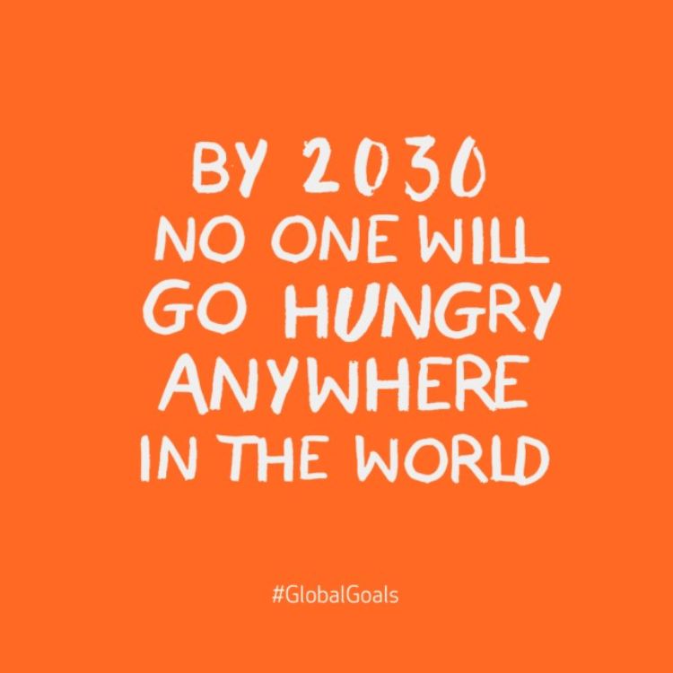 Photo from globalgoals.org