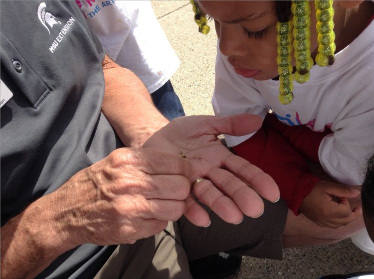 A girl is looking at a seed on the palm of a women's hand