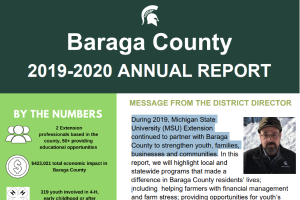 Baraga County Annual Report: 2019