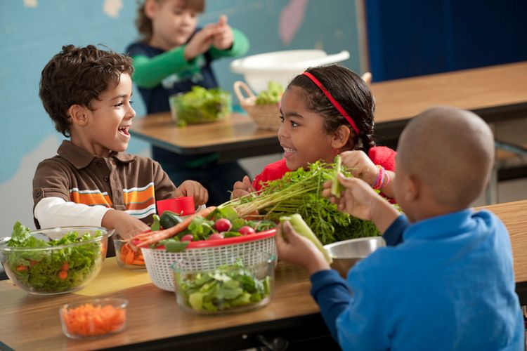 The Meet Up and Eat Up program provides free nutritious meals in the summer to children in Michigan who rely on school food as a source of energy and nutrition.