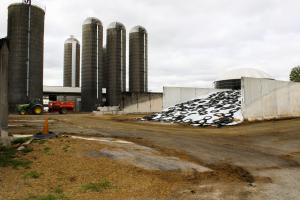 Managing corn silage harvest and feed bunk for nutrient retention