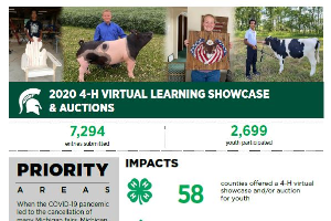 2020 4-H Virtual Learning Showcase & Auctions