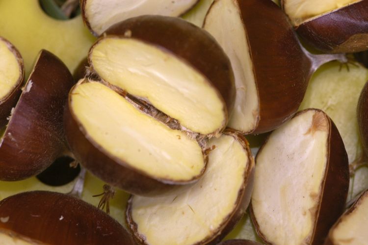 Chestnuts split to reveal healthy meat.