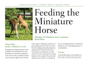 Feeding the Miniature Horse (E3068)