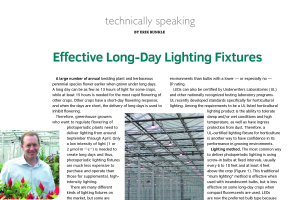 Effective long-day lighting fixtures