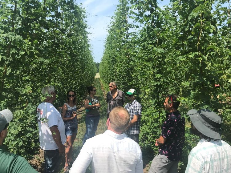 Members of the Great Lakes Hop Working Group touring a Michigan hopyard