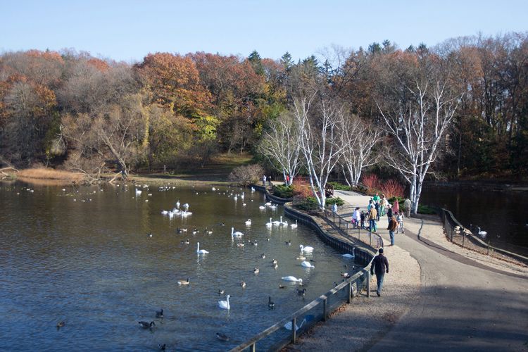 Fall Migration Celebration.