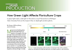 How green light affects floriculture crops
