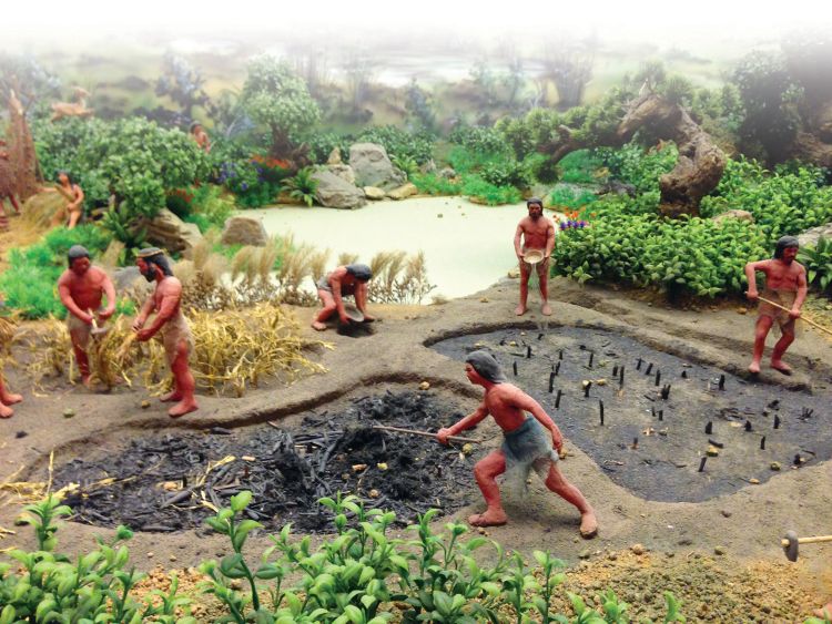 A diorama of ancient rice farming from a soil museum at the Institute of Soil Science of the Chinese Academy of Sciences