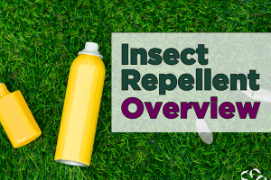 Insect Repellent – An Overview