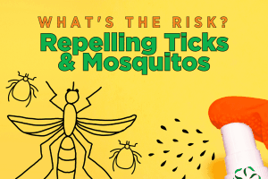 What's the risk? – Repelling ticks & mosquitos
