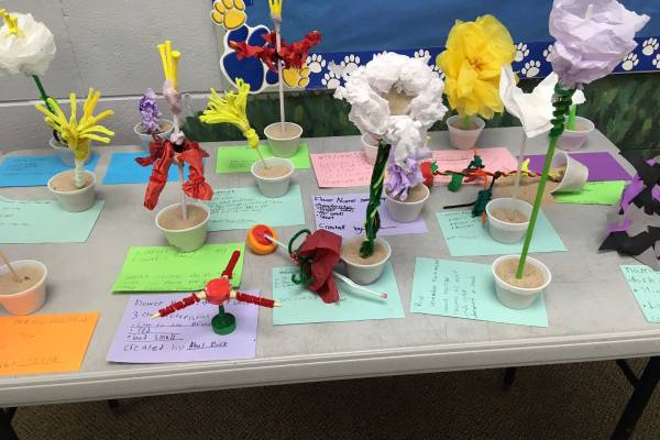Maximizing STEM by means of artwork – 4-H Environmental & Out of doors Education and learning