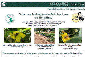 Guía del Cuidado de Polinizadores de Hortalizas (Vegetable Pollinator Stewardship Guide in Spanish)