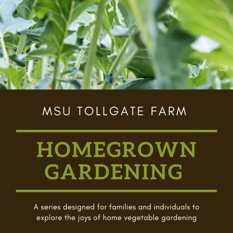 Homegrown Gardening promo graphic.
