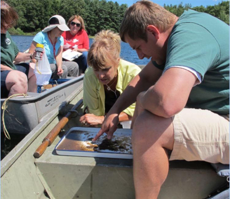 Investigating lake health at Kellogg Biological Station | Photo by Jane Herbert