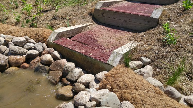 Newly installed shoreline erosion control fiber logs and riprap with plug plantings.