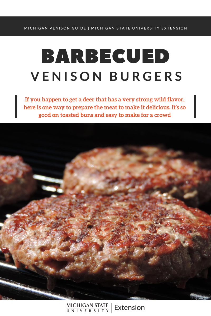 Cover photo of the Barbecued Venison Burgers, with image of the burger itself.