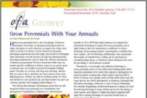 Grow perennials with your annuals